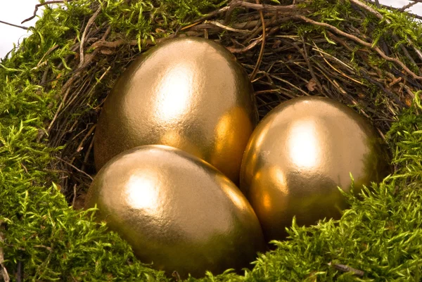 Золотые яйца в гнезде — стоковое фото
