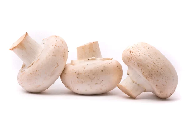 在白色上分离的新鲜蘑菇 — 图库照片