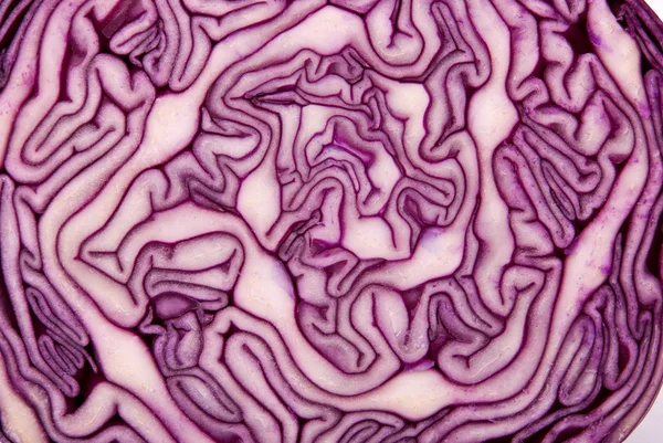 Close-up of a cut red cabbage — Stock Photo, Image