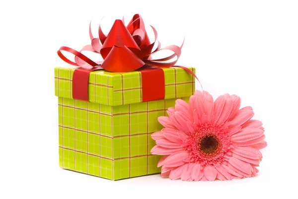 Pink gerber flower and gift box — Stock Photo, Image