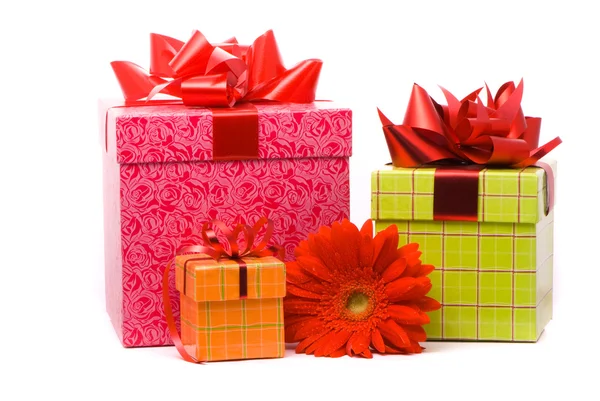 Kırmızı gerber çiçek ve hediye kutusu — Stok fotoğraf