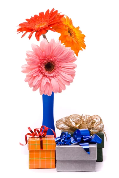 Beautiful gerber flowers in blue vase — Stock Photo, Image