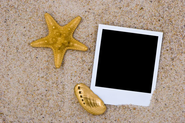 Fotoframe met gouden zeeschelpen — Stockfoto