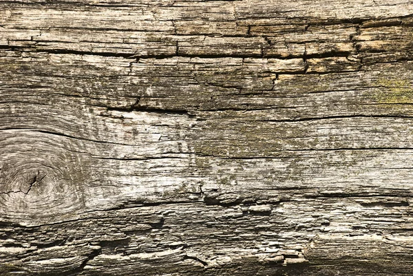 Alte Holz-Textur — Stockfoto