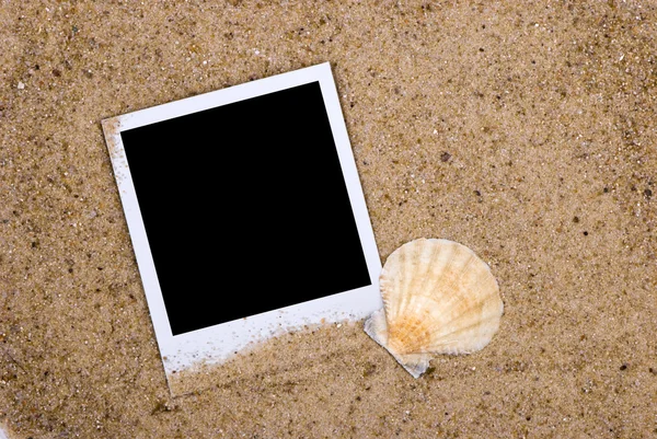 Moldura foto com conchas do mar — Fotografia de Stock