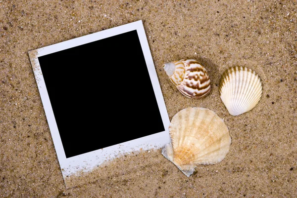 Marco de fotos con conchas marinas — Foto de Stock