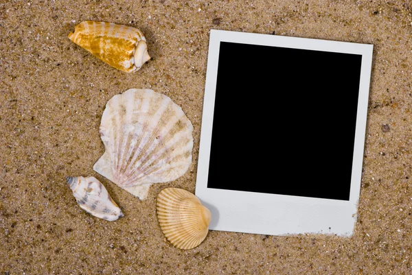 Photo frame with sea shells — Stock Photo, Image