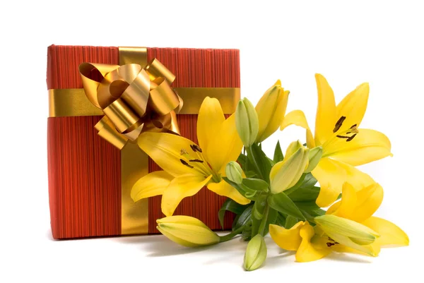 Lírio amarelo e caixa de presente — Fotografia de Stock