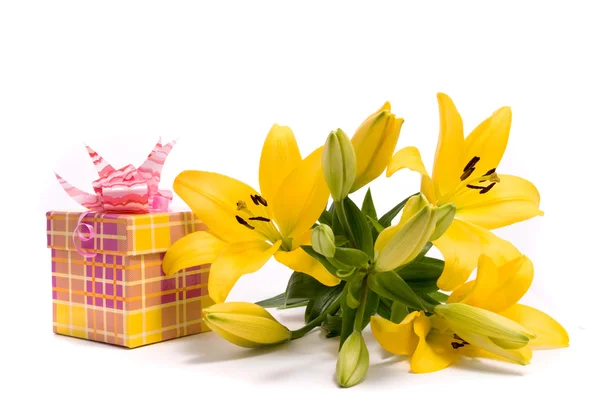 Žlutá lilie a dárkové krabice — Stock fotografie