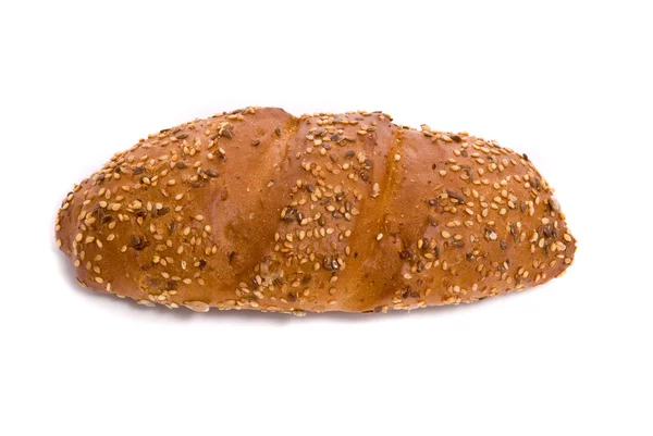 Pão fresco único — Fotografia de Stock