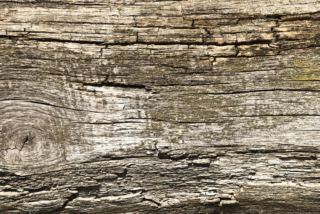 Текстура старого дерева — Стоковое фото © Hintau_Aliaksey #1900478