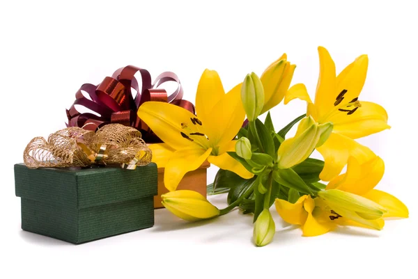 Lírio amarelo e caixa de presente — Fotografia de Stock