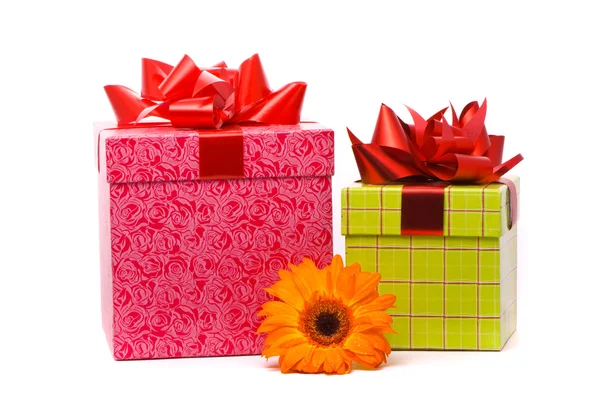 Fiore di gerbero arancione e scatole regalo — Foto Stock