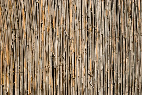 Bambu trä bakgrund — Stockfoto