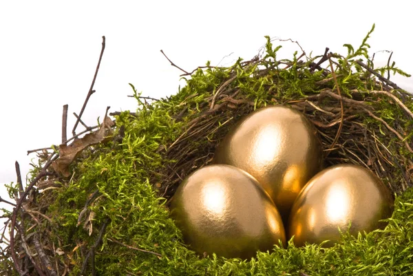 Золотые яйца в гнезде — стоковое фото