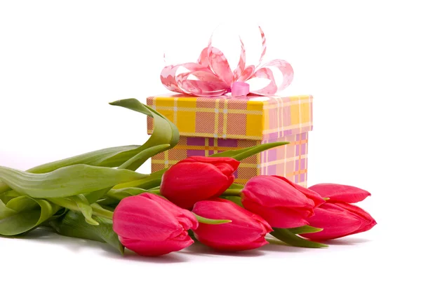 Rote Tulpen und Geschenkbox — Stockfoto