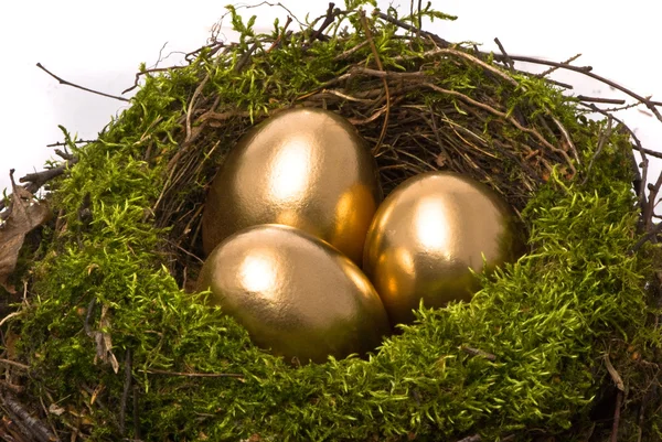 Golden eggs in a nest — Stock Photo, Image