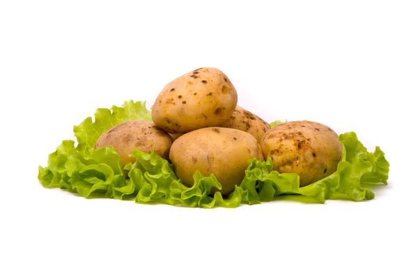 stock image Potatoes on studio white