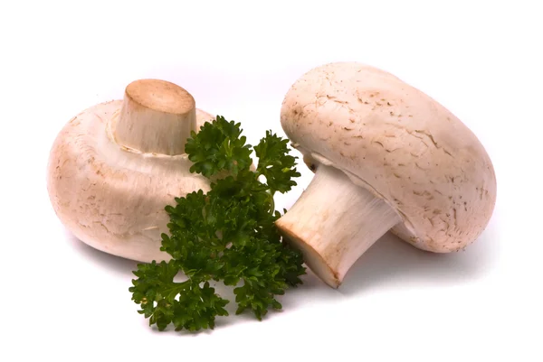 Fresh mushrooms — Stock Photo, Image