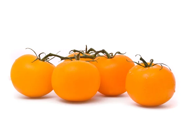 Fresh tomatoes. Studio white background. — Stock Photo, Image