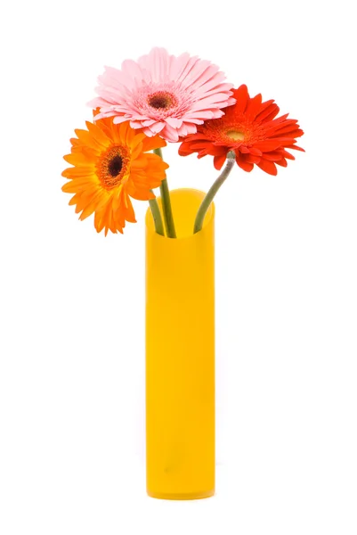 Three gerber flowers in yellow vase — Stock Photo, Image