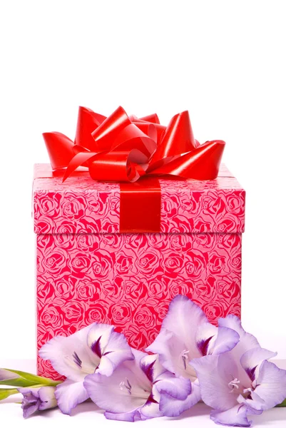 Hermoso gladiolo y caja de regalo —  Fotos de Stock