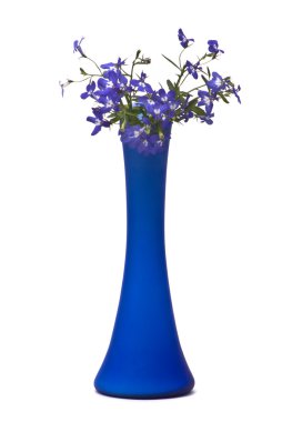 Beautiful flowers (Lobelia) clipart