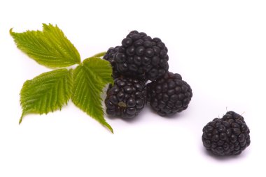 Beautiful blackberries