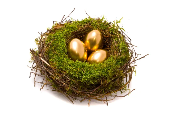 Arany tojások a fészekben — Stock Fotó