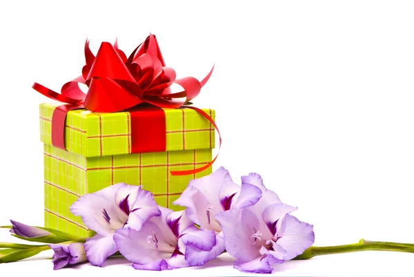 Mooie gladiolen en gift box — Stockfoto