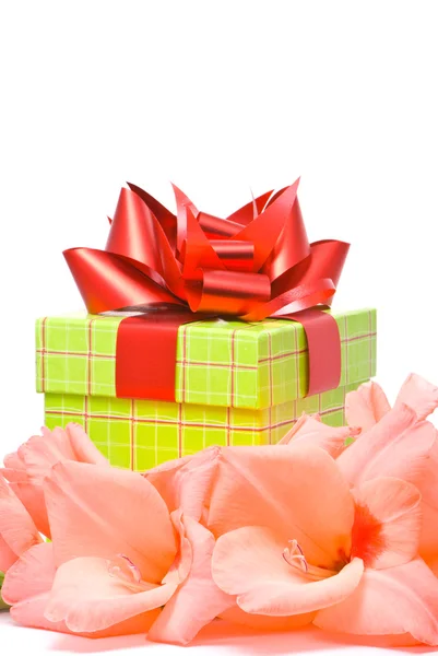 Hermoso gladiolo y caja de regalo —  Fotos de Stock