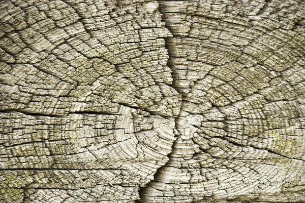 Textura de madeira velha, oi fundo de qualidade — Fotografia de Stock