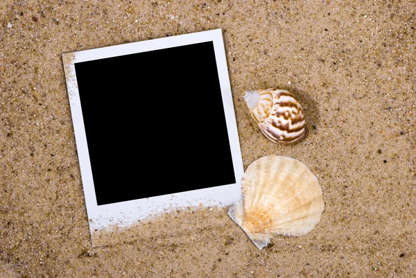海の貝殻をもつ写真フレーム — ストック写真
