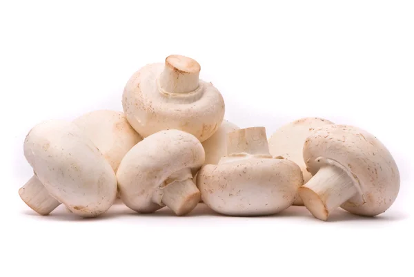 Свіжі гриби — стокове фото
