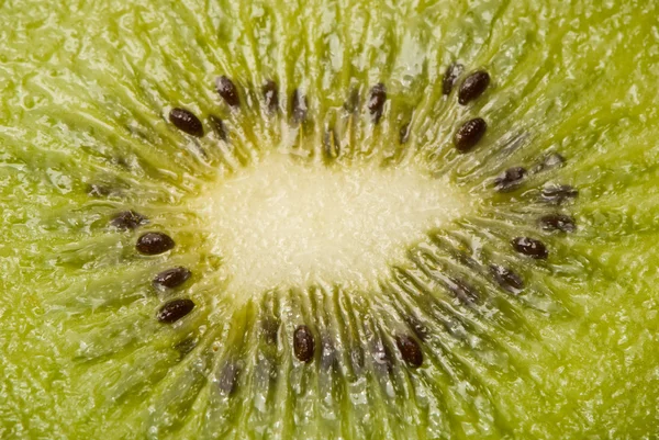 Fundo kiwi fatiado — Fotografia de Stock