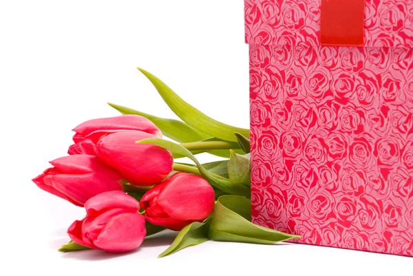 빨간 튤립 및 선물 상자 — 스톡 사진