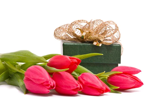 Červené tulipány a krabičky na bílé — Stock fotografie