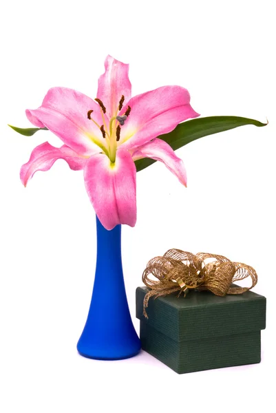 Pembe lily ve hediye kutusu — Stok fotoğraf