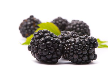 Beautiful blackberries clipart