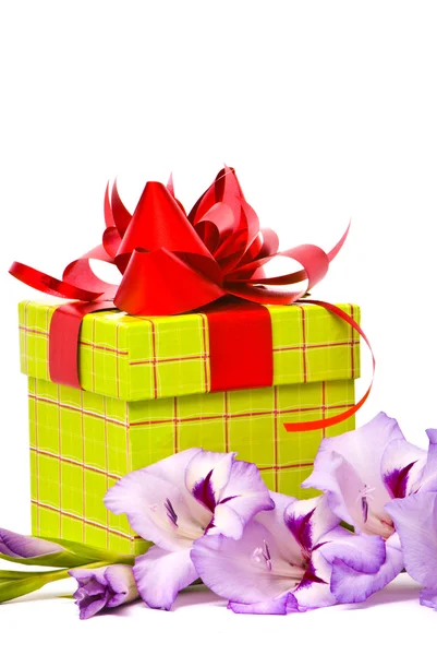 Hermoso gladiolo y caja de regalo — Foto de Stock
