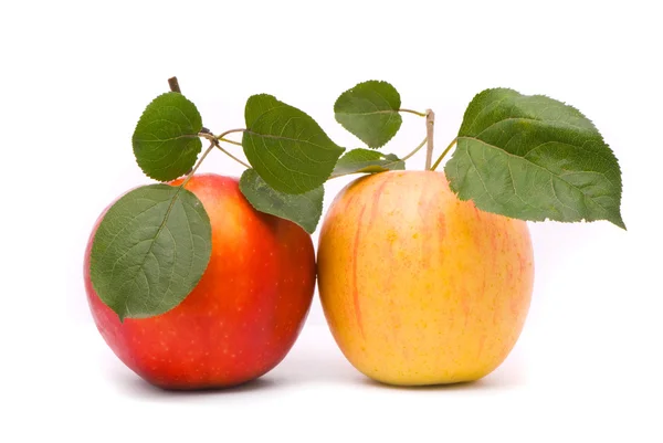 Taze elma kırmızı ve sarı — Stok fotoğraf