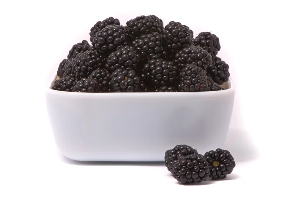 Fresh Blackberry — стоковое фото