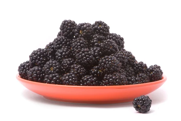 Świeże blackberry w płytce czerwony — Zdjęcie stockowe
