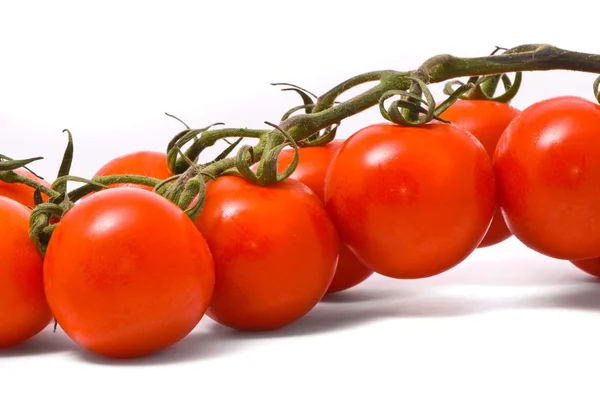 Stüdyo beyaz kiraz domates — Stok fotoğraf