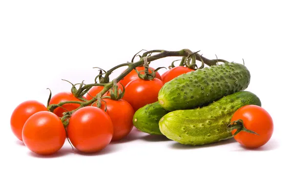 Tomates et concombres frais — Photo