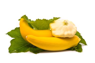 squashes ve yeşil yaprak