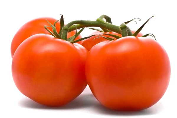 Свежие помидоры . — стоковое фото