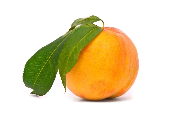 Персиковий фрукт з зеленим листям — стокове фото
