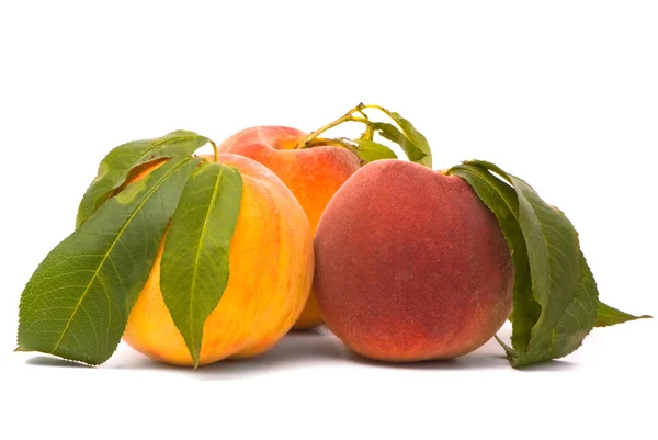 Персикові плоди з зеленим листям — стокове фото
