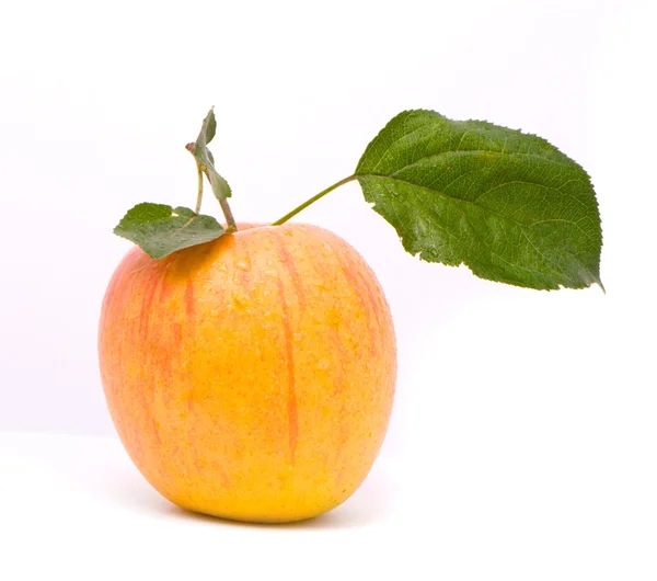 Sarı taze elma — Stok fotoğraf